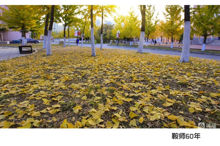 e9ef47891a87441ebc46a97e38a785cd.jpg